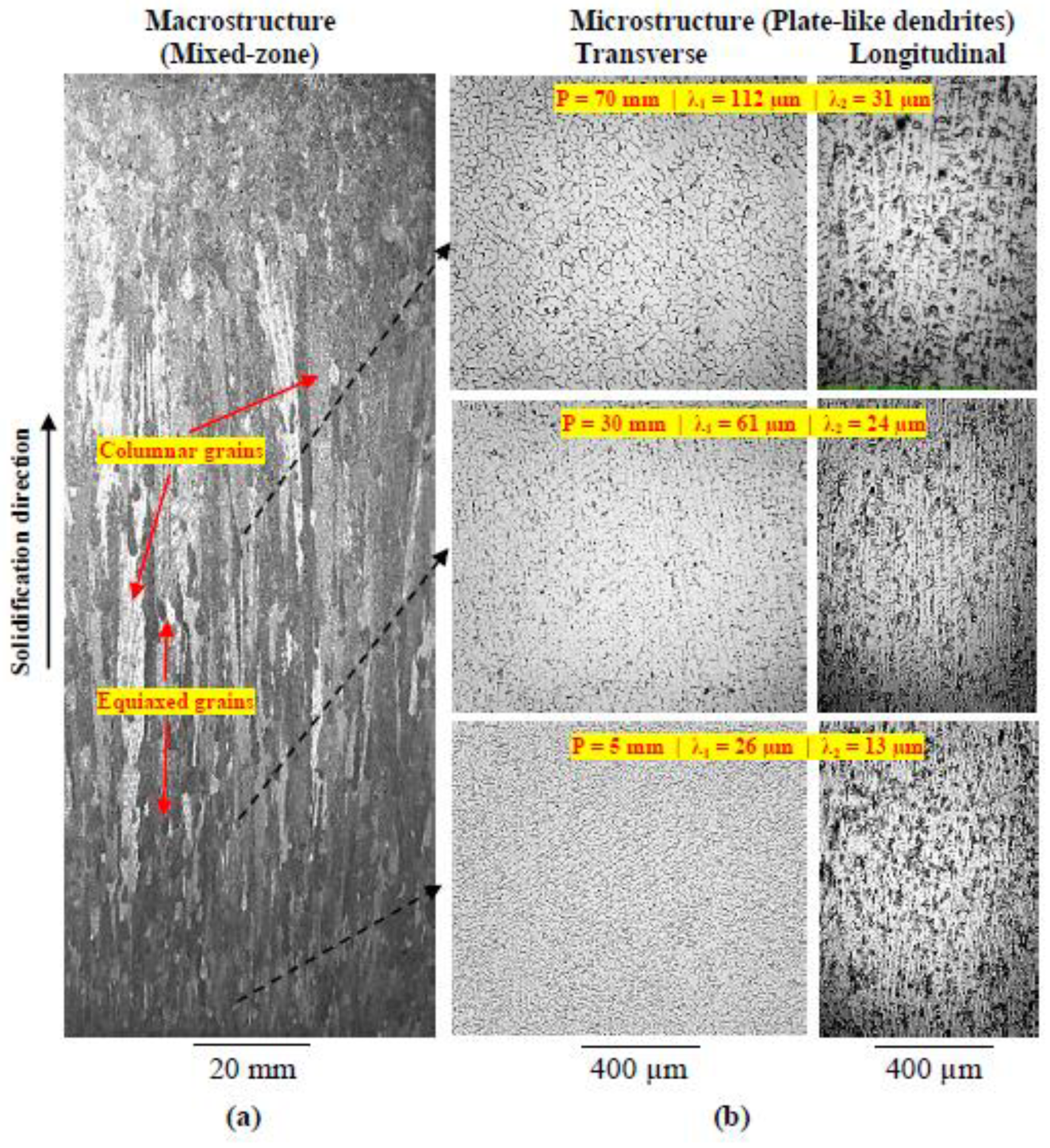 Lubricants 10 00352 g004 Lubricants 10 00352 g004