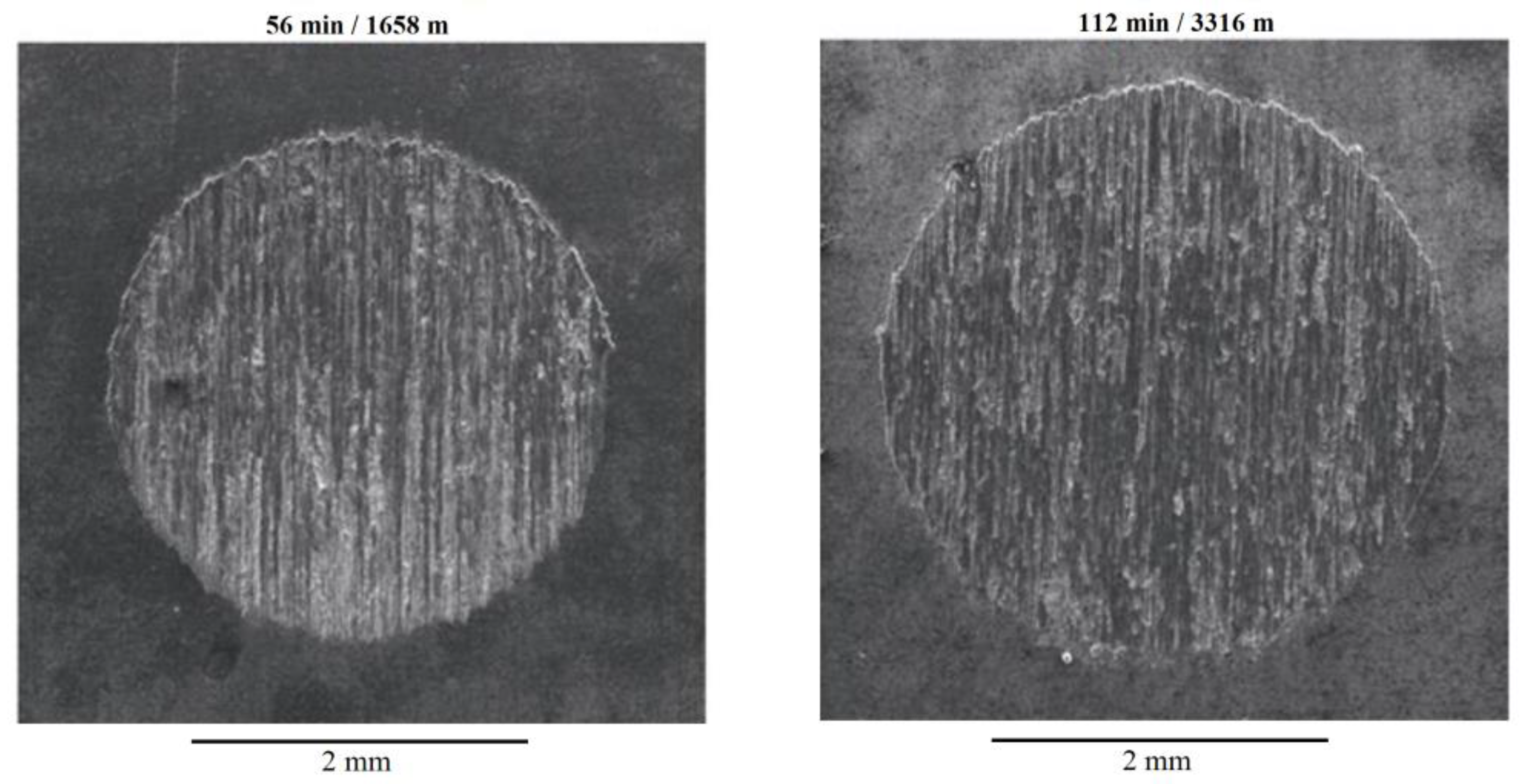 Lubricants 10 00352 g009 Lubricants 10 00352 g009