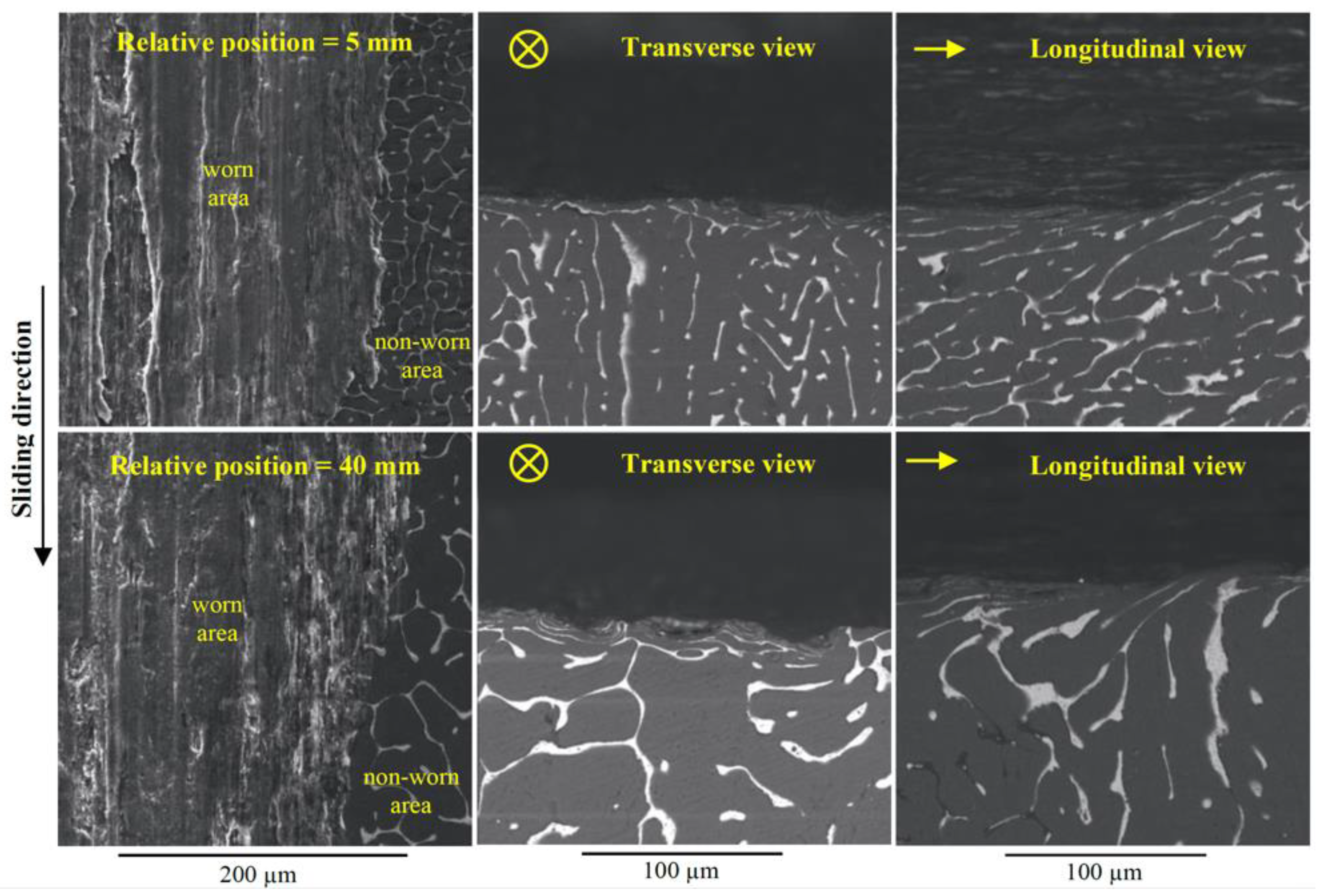 Lubricants 10 00352 g010 Lubricants 10 00352 g010