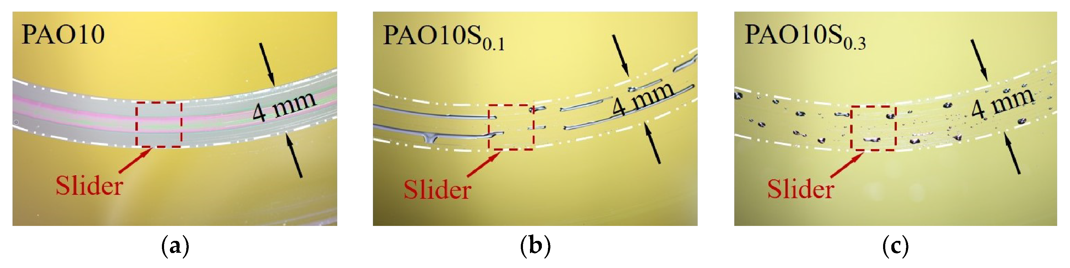 Lubricants 10 00353 g004
