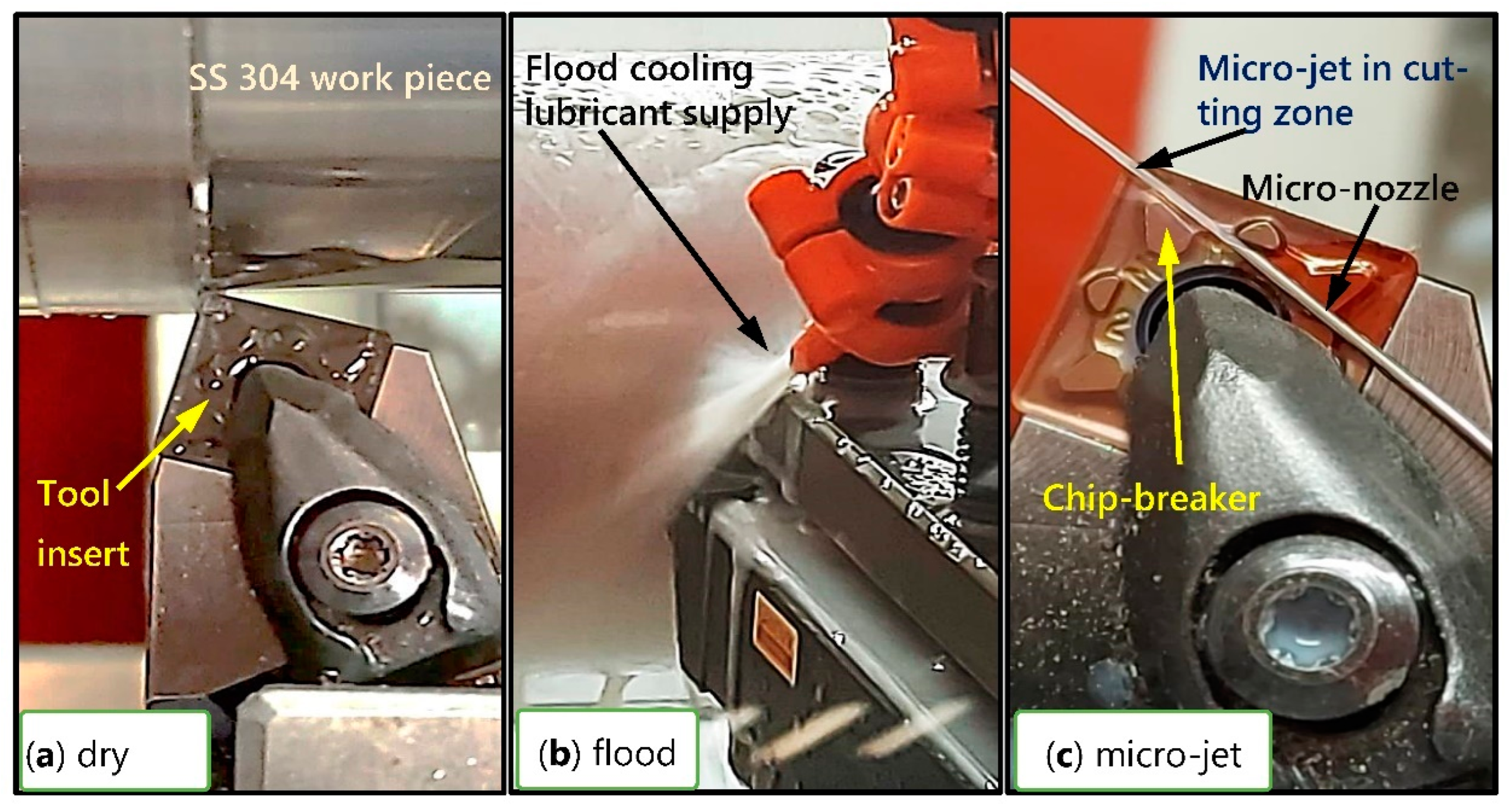 Lubricants 10 00359 g006