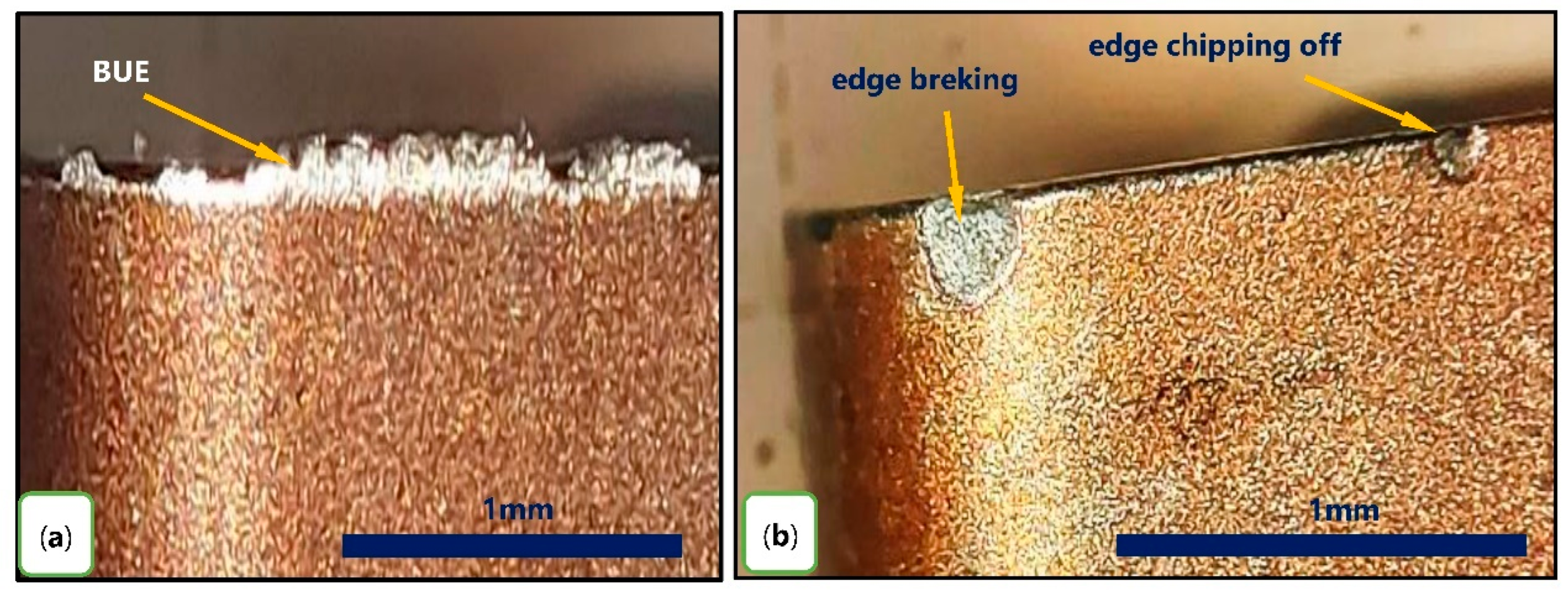 Lubricants 10 00359 g009