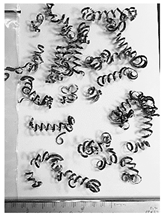 Lubricants 10 00359 i022