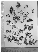 Lubricants 10 00359 i024