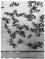 Lubricants 10 00359 i030