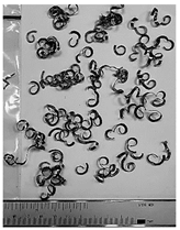 Lubricants 10 00359 i032