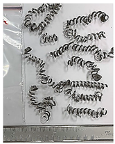 Lubricants 10 00359 i038