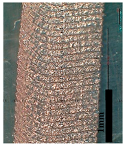 Lubricants 10 00359 i049