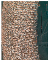 Lubricants 10 00359 i058