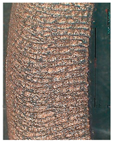 Lubricants 10 00359 i059