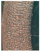 Lubricants 10 00359 i062