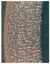 Lubricants 10 00359 i064