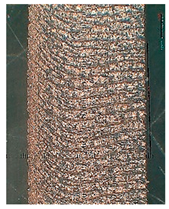 Lubricants 10 00359 i065