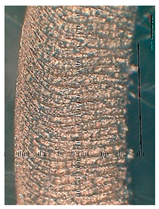 Lubricants 10 00359 i070