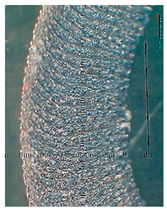 Lubricants 10 00359 i071