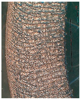 Lubricants 10 00359 i075