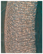 Lubricants 10 00359 i079