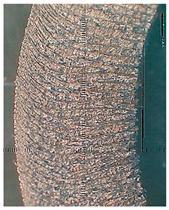 Lubricants 10 00359 i090