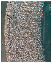 Lubricants 10 00359 i091