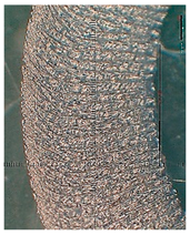 Lubricants 10 00359 i092