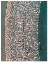 Lubricants 10 00359 i095