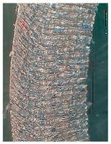 Lubricants 10 00359 i096