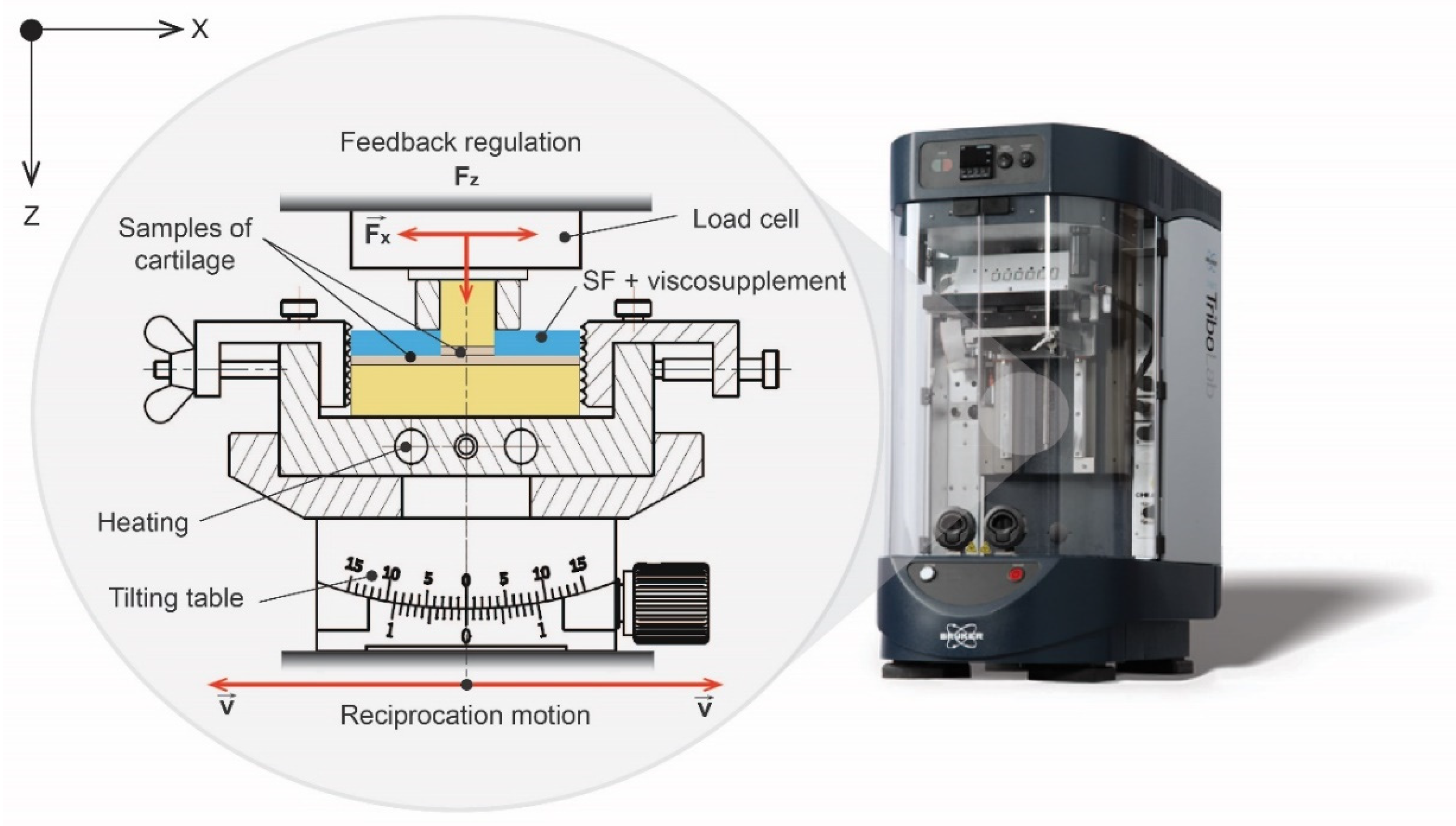 Lubricants 10 00361 g001 Lubricants 10 00361 g001