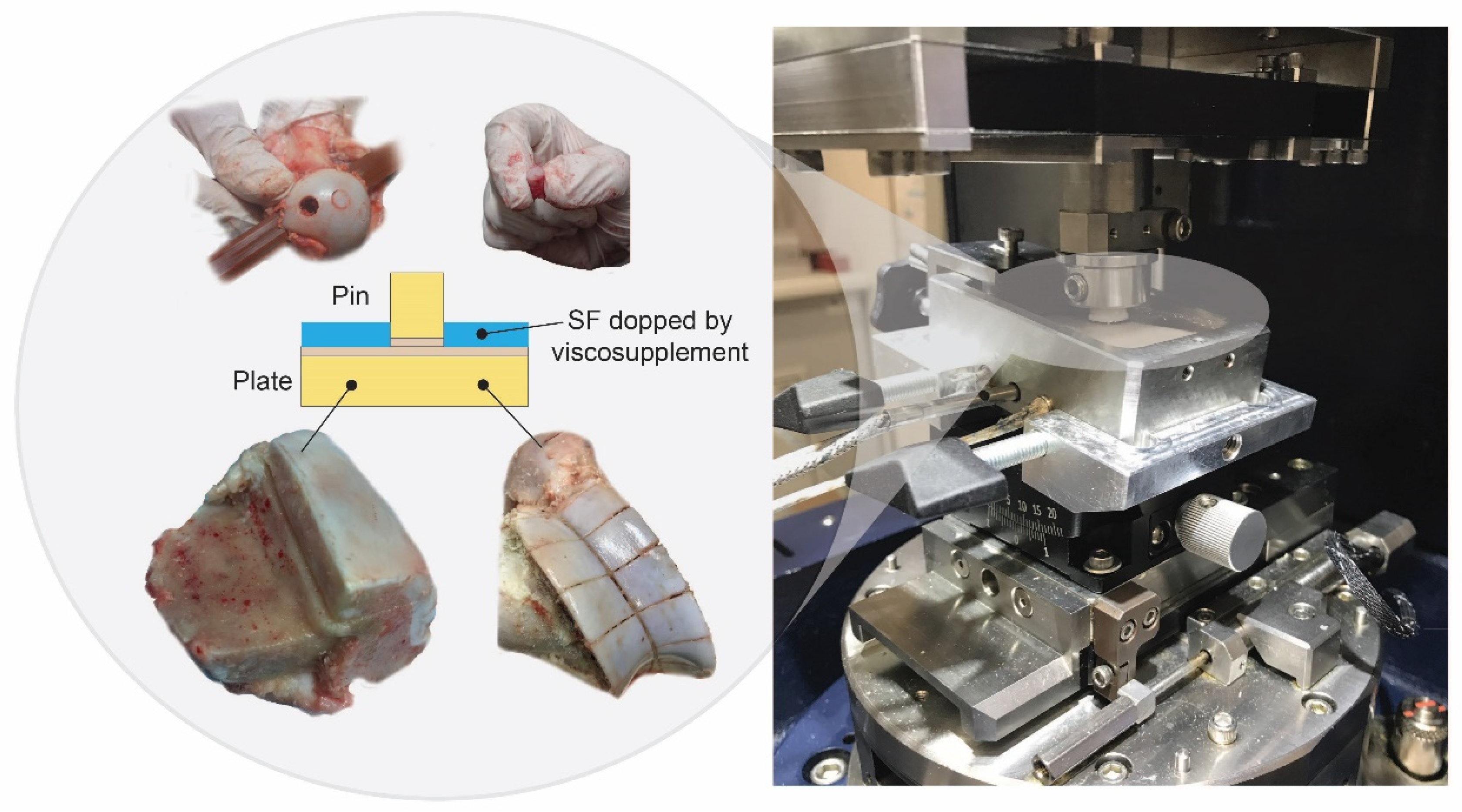 Lubricants 10 00361 g002 Lubricants 10 00361 g002