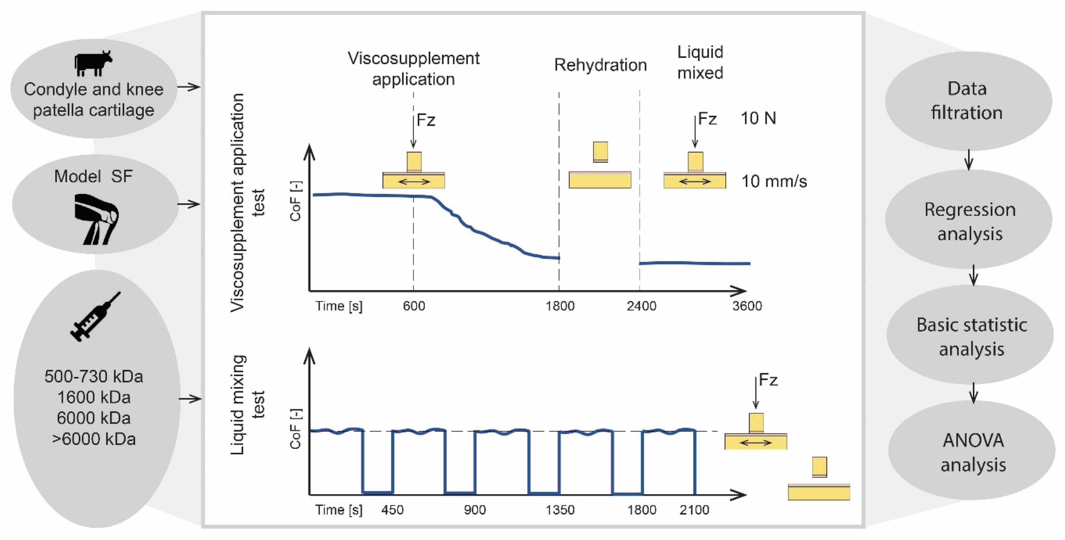 Lubricants 10 00361 g003 Lubricants 10 00361 g003