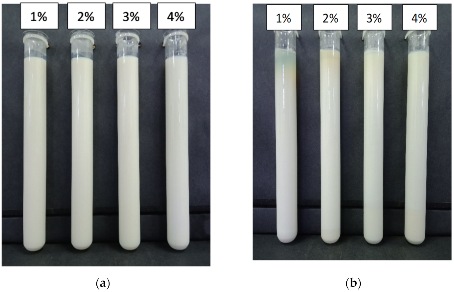 Lubricants 10 00366 g004