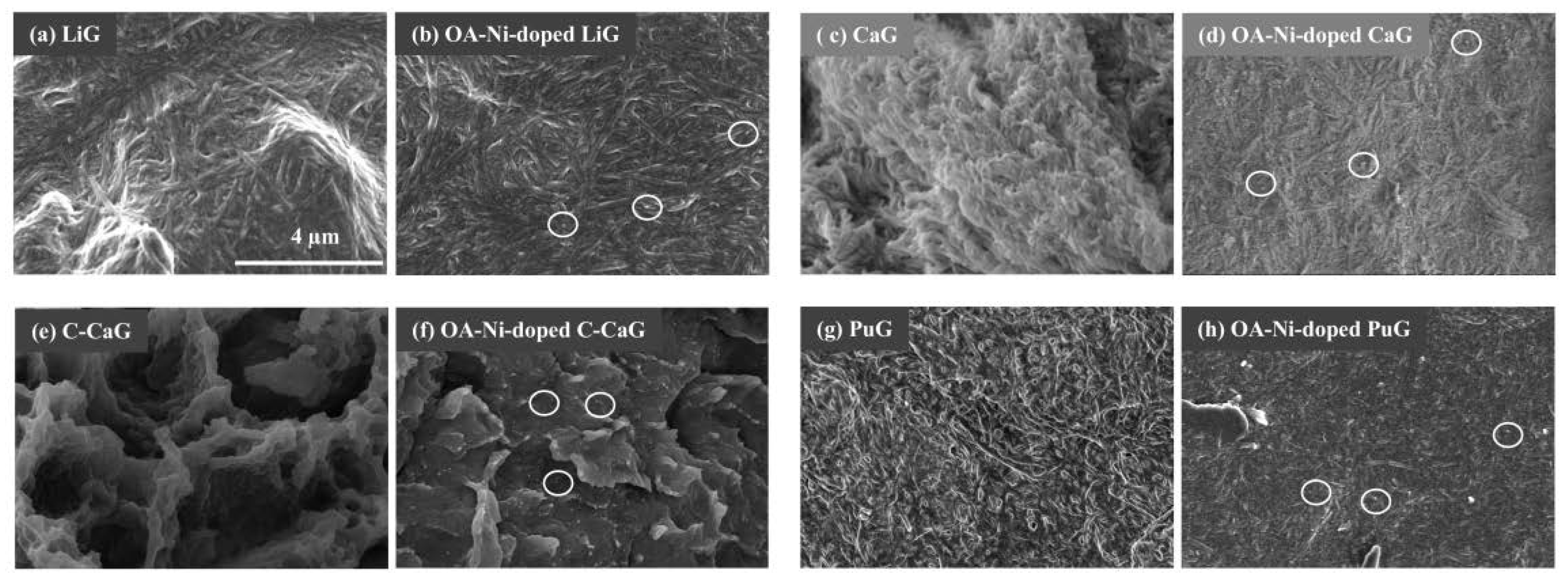 Lubricants 10 00367 g003