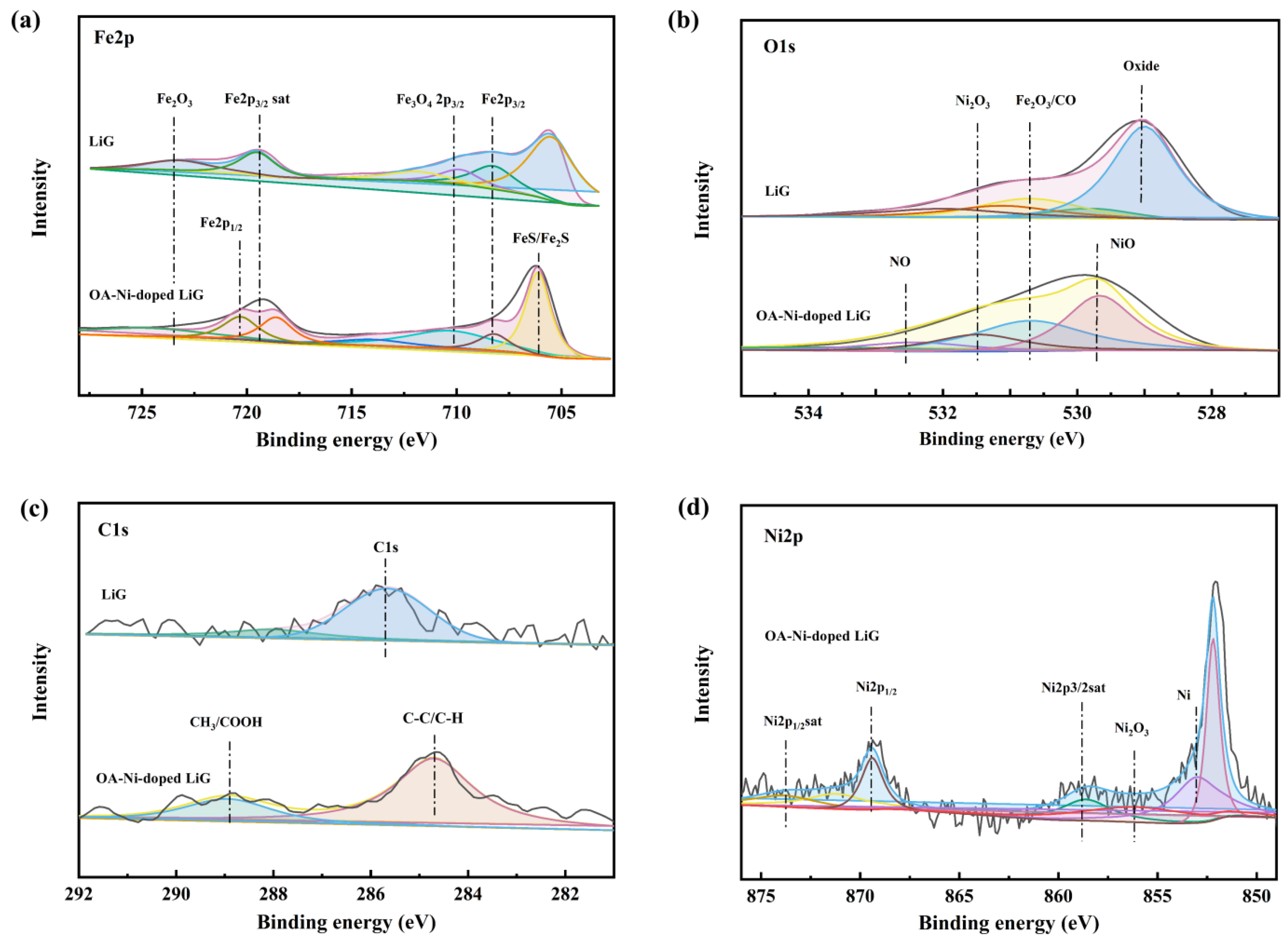 Lubricants 10 00367 g007