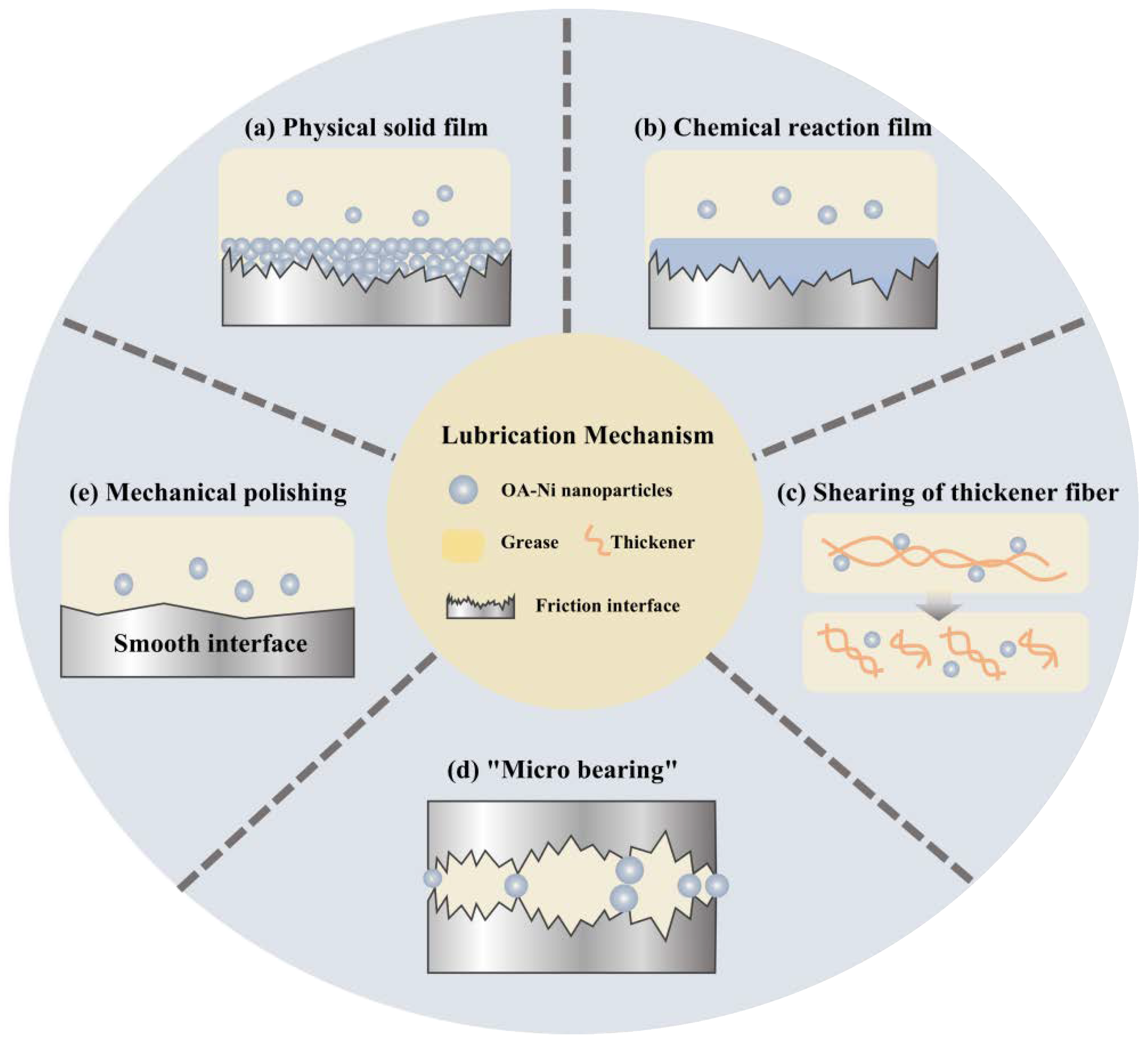 Lubricants 10 00367 g008
