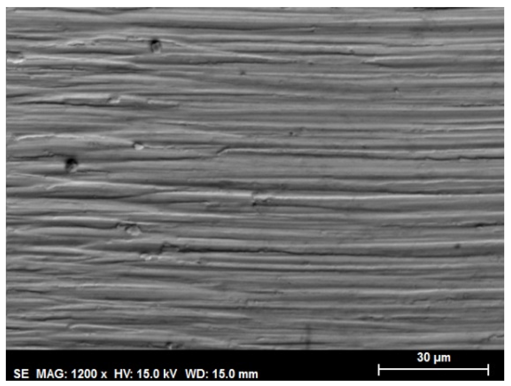 Lubricants 11 00005 g010 Lubricants 11 00005 g010