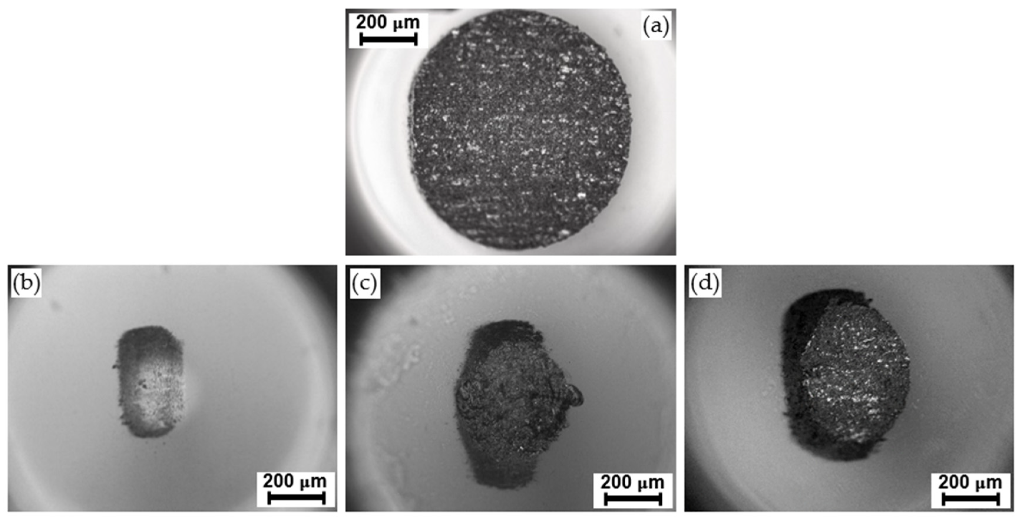 Lubricants 11 00005 g012 Lubricants 11 00005 g012
