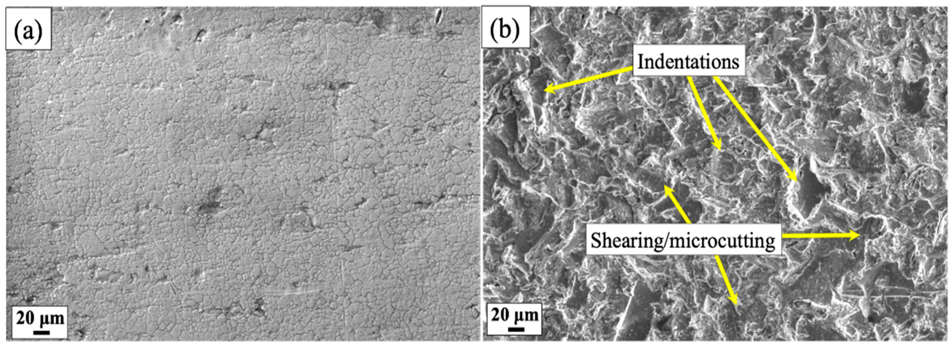 Lubricants 11 00010 g004 Lubricants 11 00010 g004