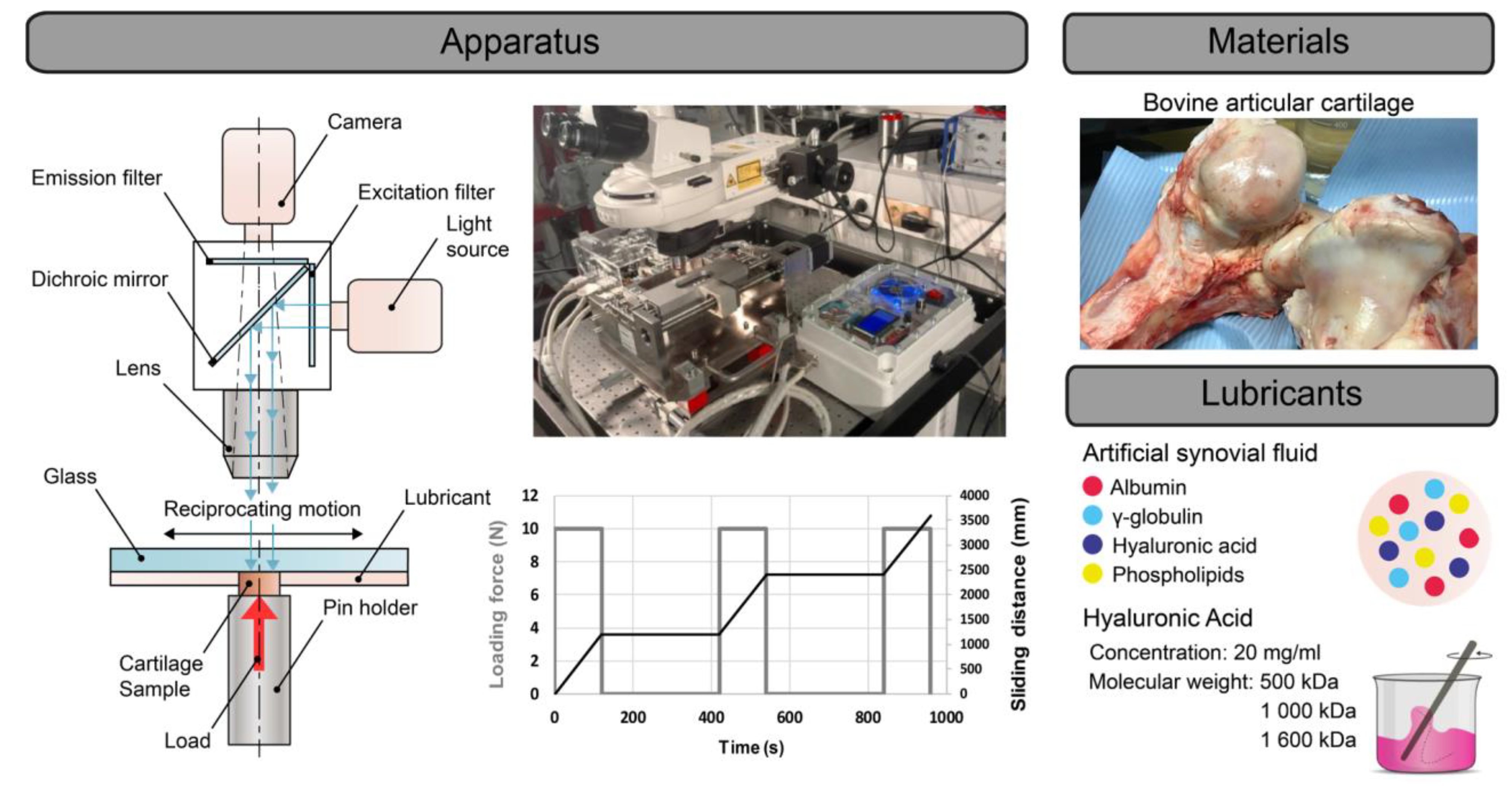 Lubricants 11 00012 g001 Lubricants 11 00012 g001