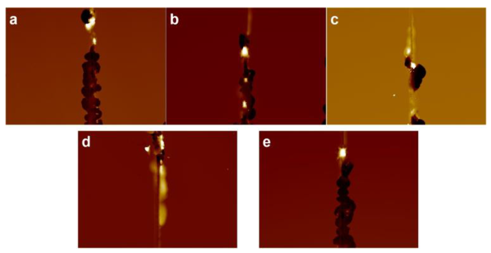 Lubricants 11 00021 g004