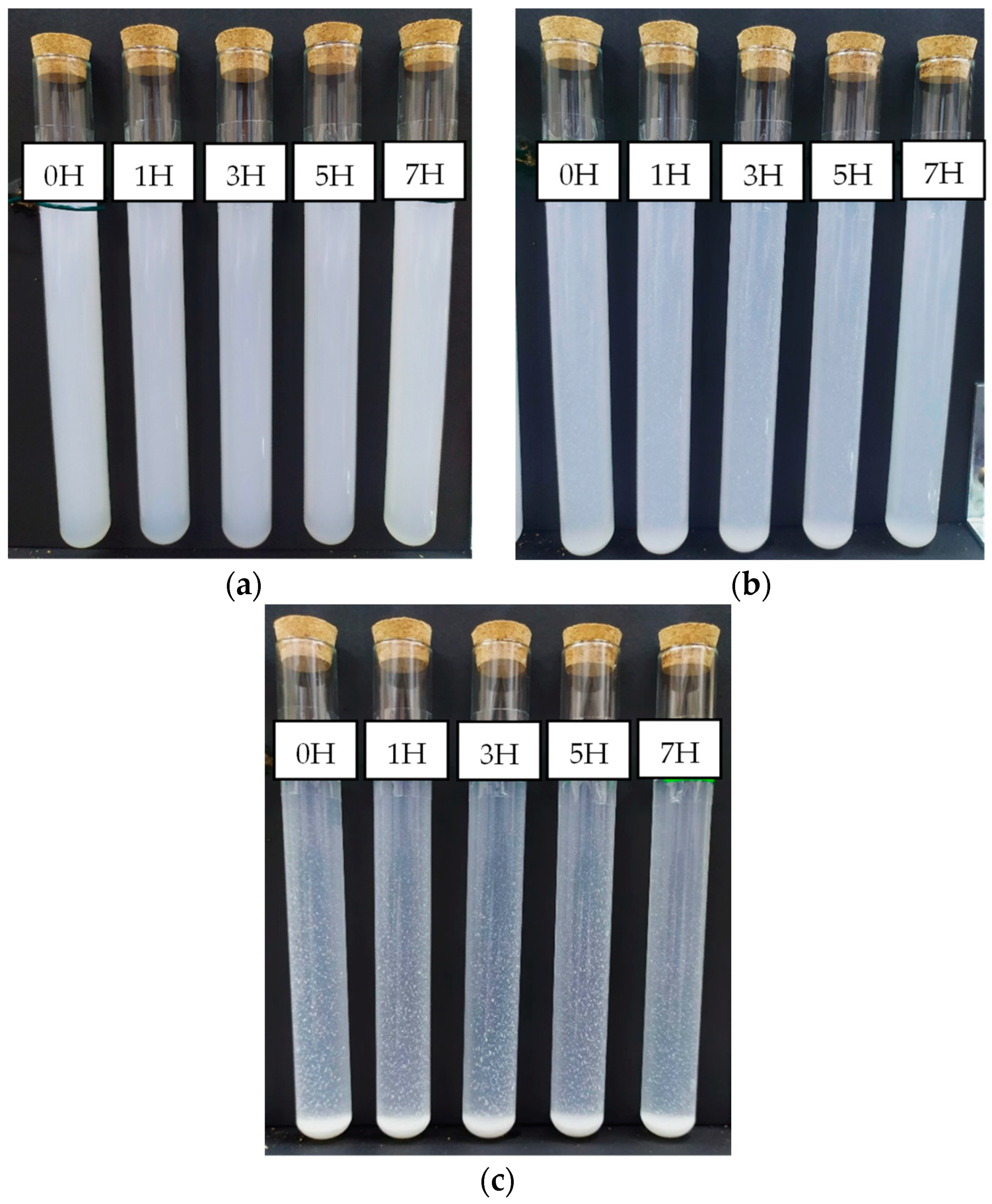 Lubricants 11 00023 g004 Lubricants 11 00023 g004