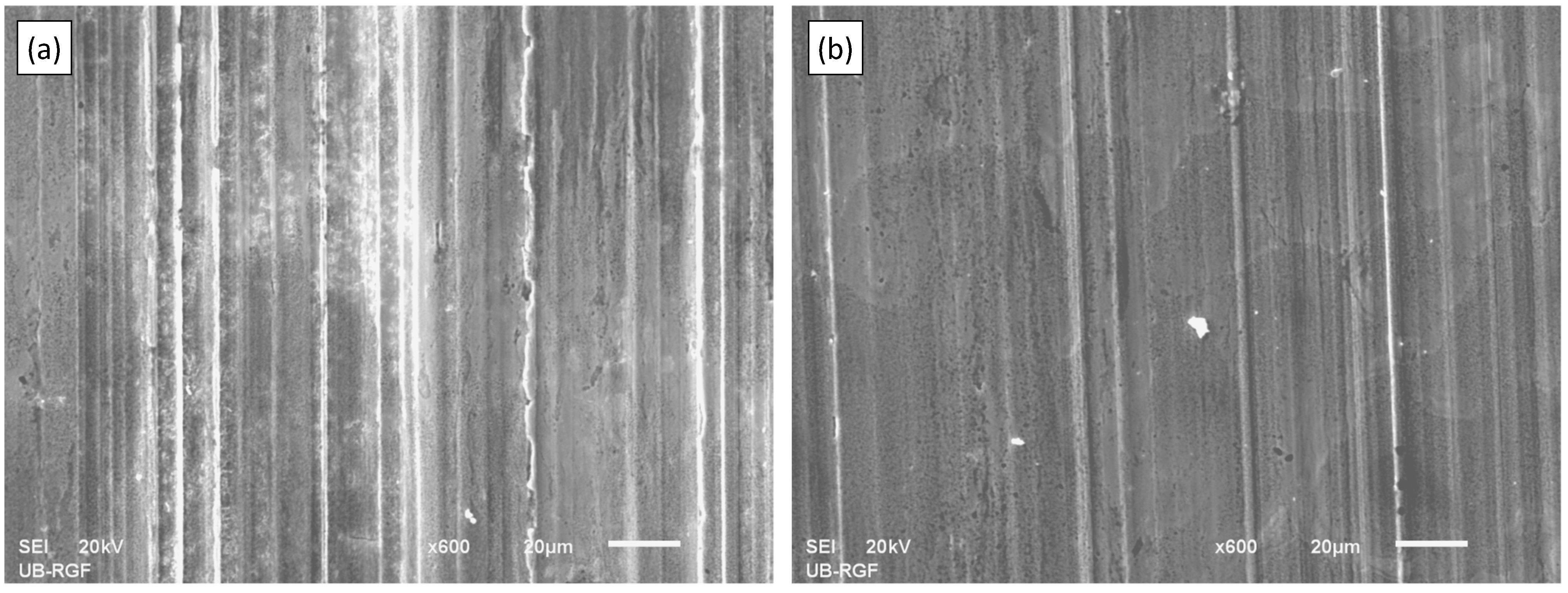 Lubricants 11 00024 g008 Lubricants 11 00024 g008