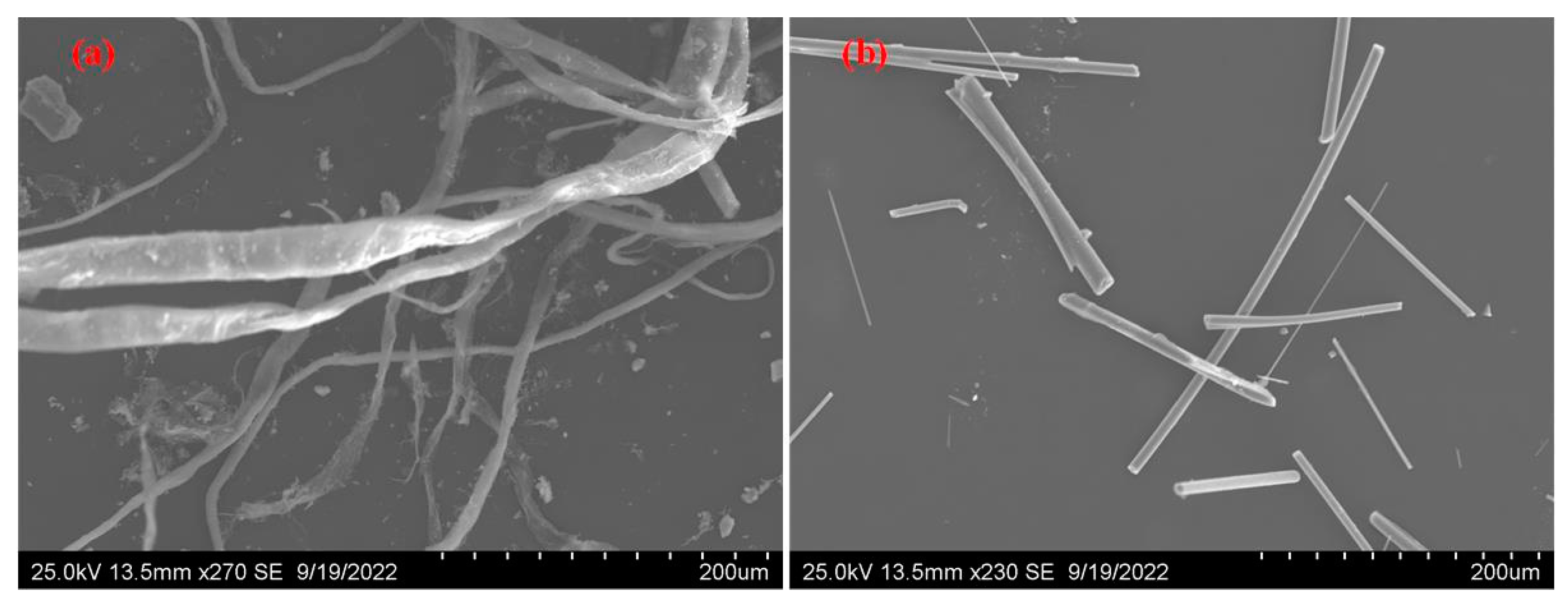 Lubricants 11 00027 g001 Lubricants 11 00027 g001