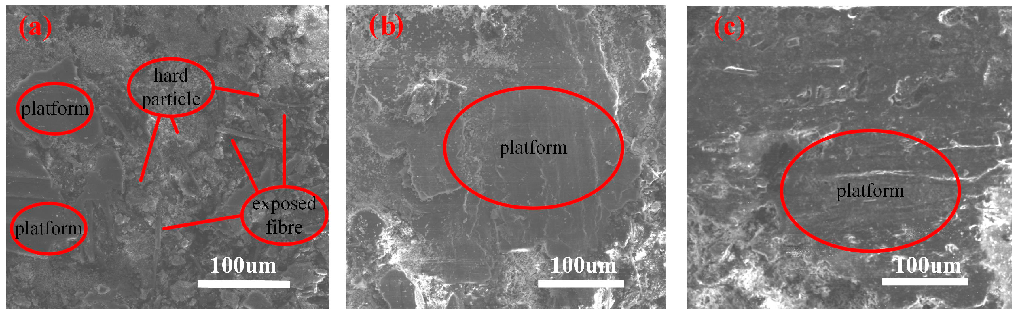 Lubricants 11 00027 g007 Lubricants 11 00027 g007