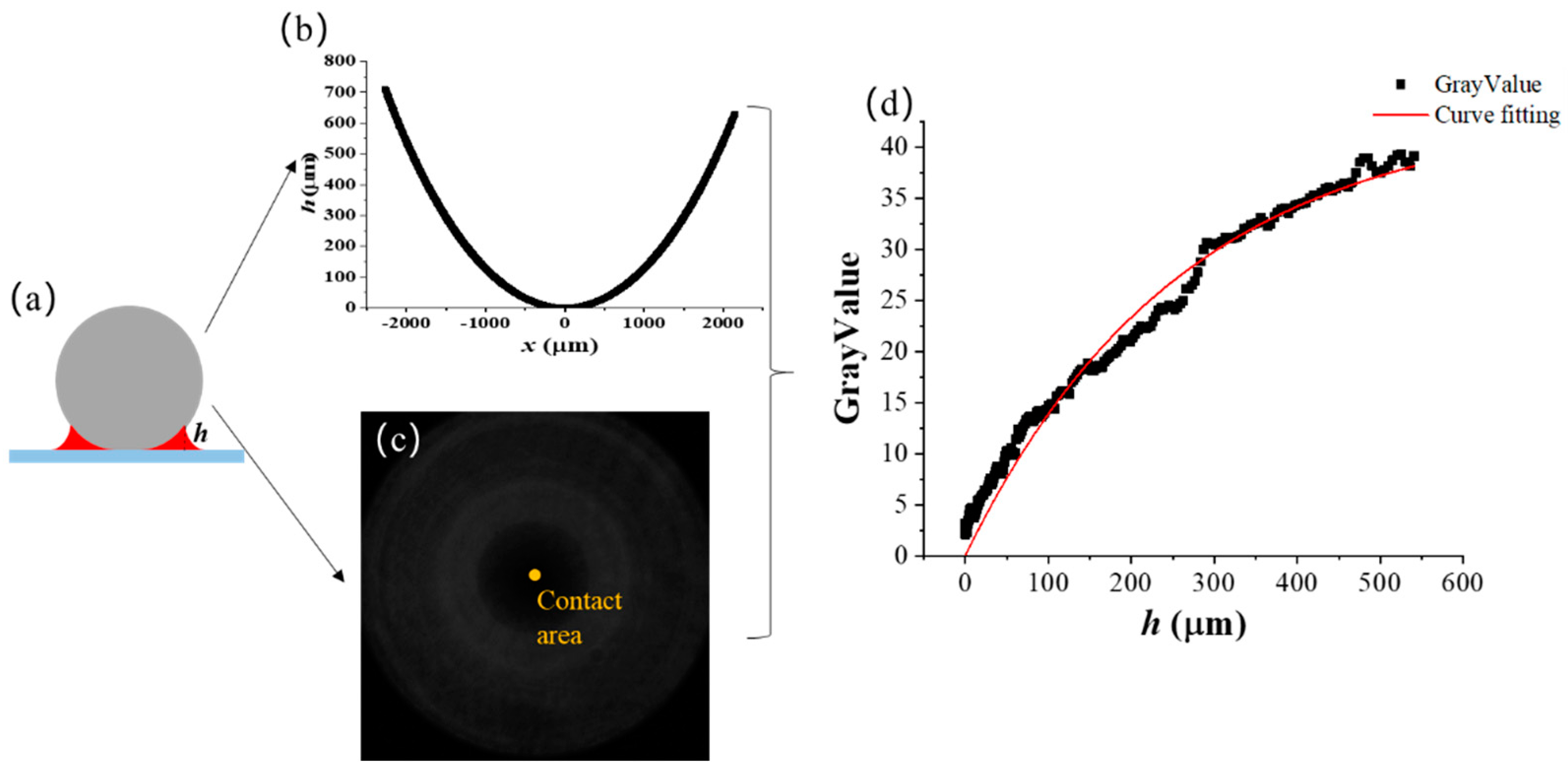 Lubricants 11 00031 g002