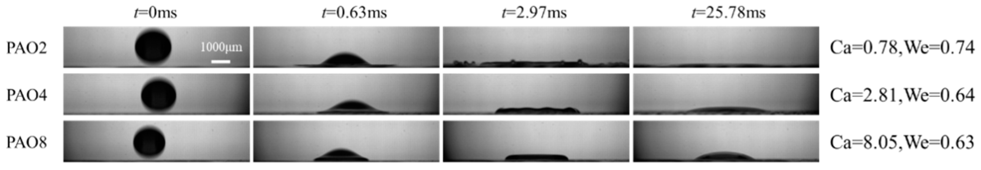 Lubricants 11 00031 g003