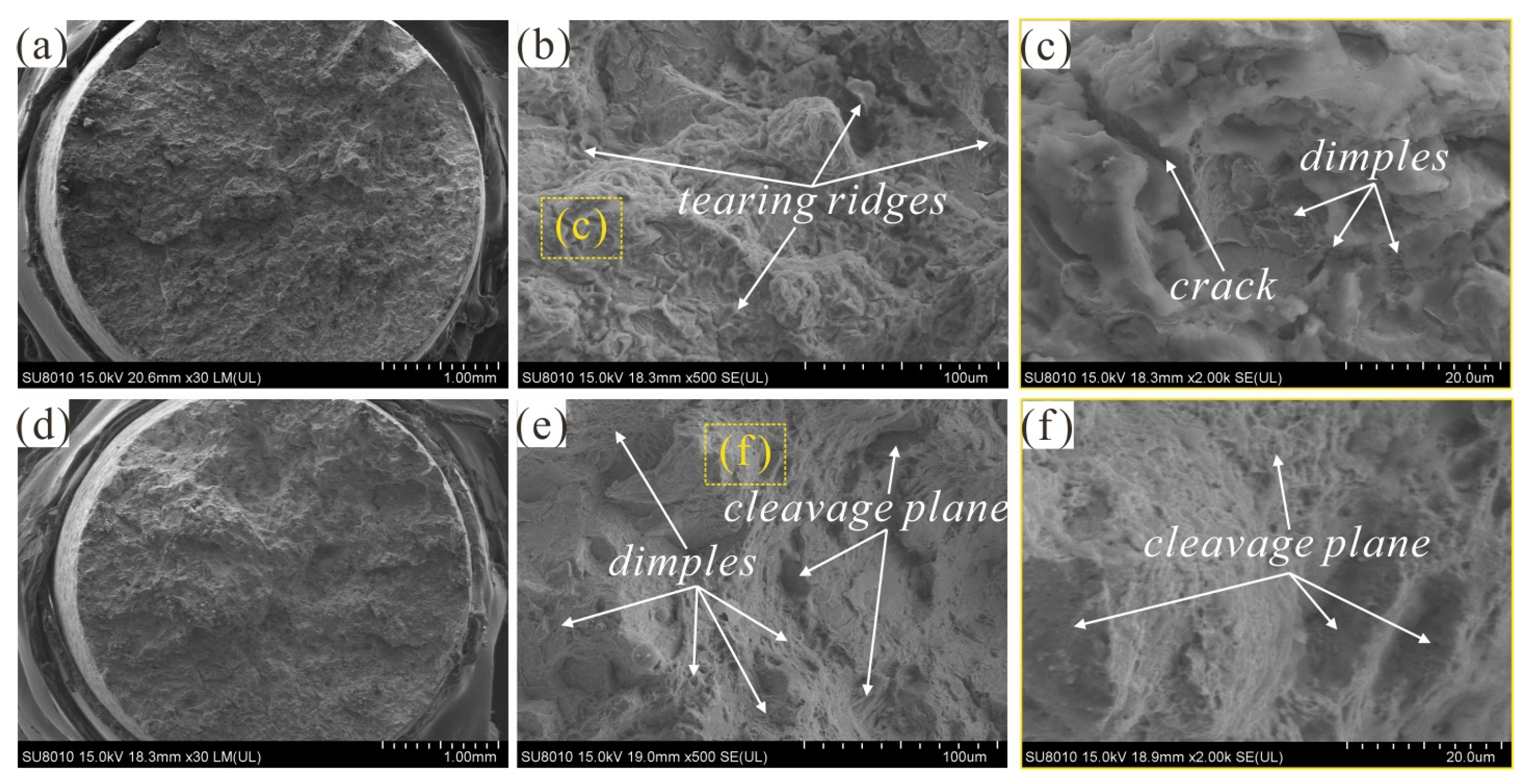 Lubricants 11 00041 g006 Lubricants 11 00041 g006