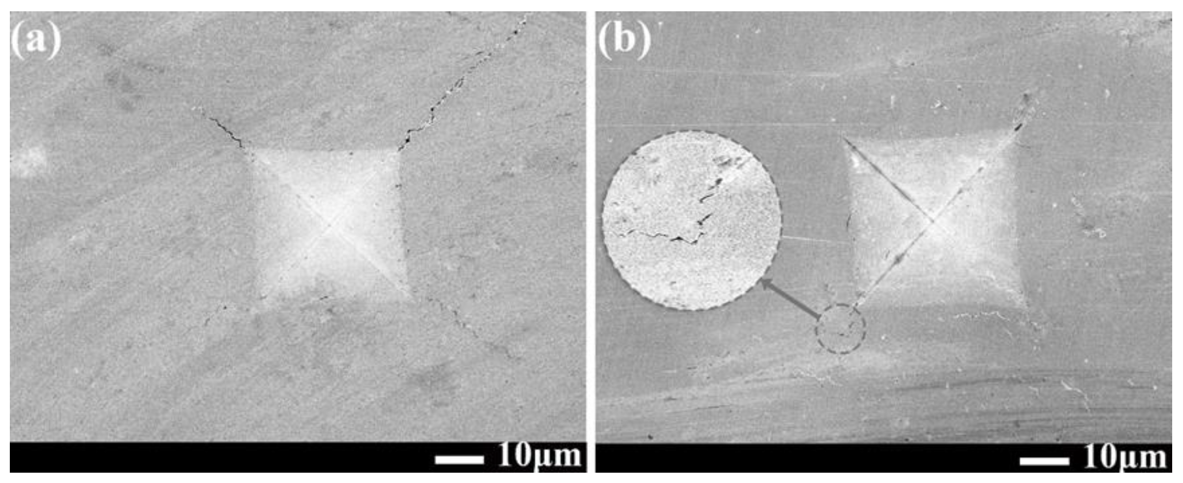 Lubricants 11 00042 g008