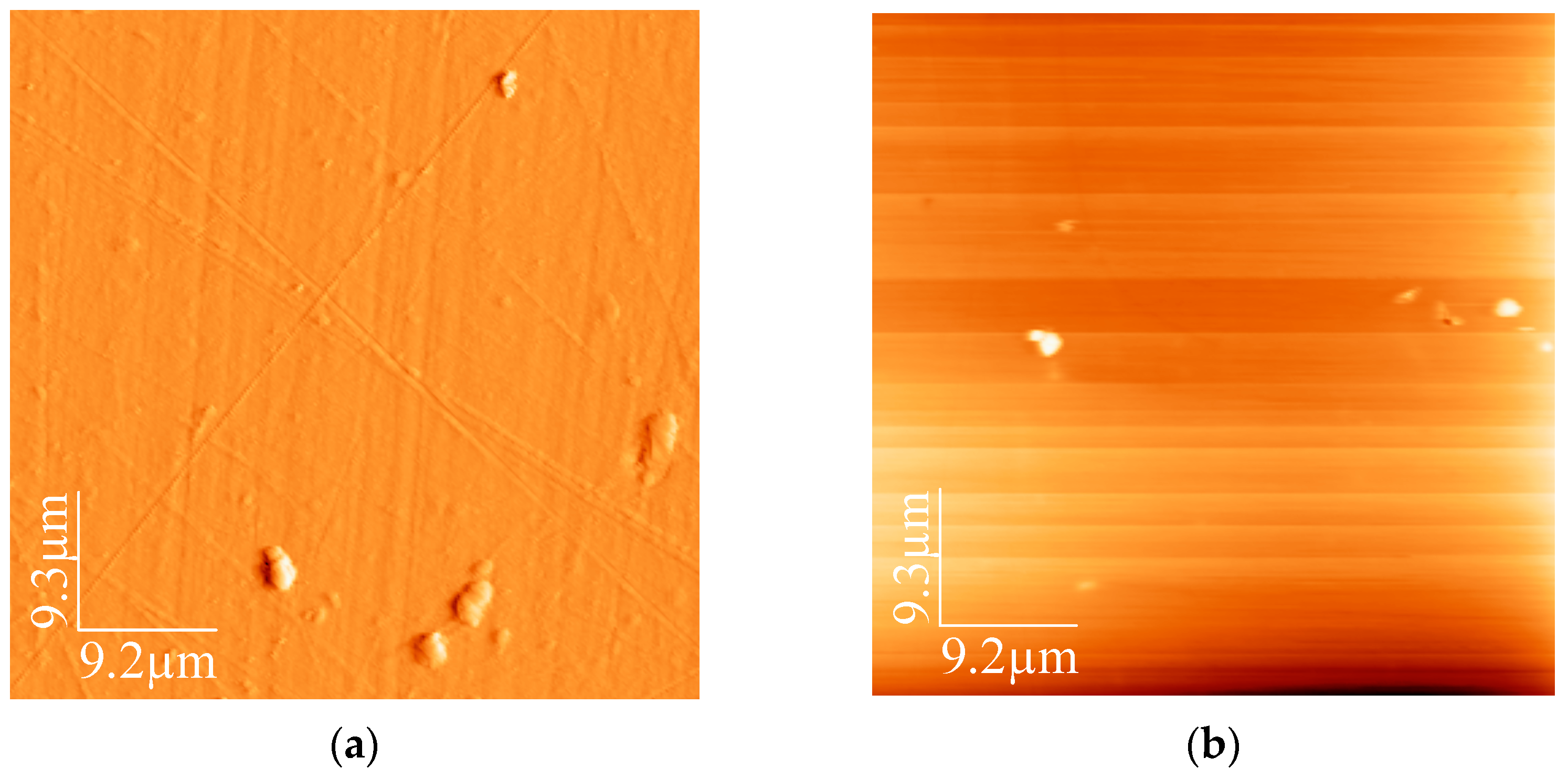 Lubricants 11 00091 g005 Lubricants 11 00091 g005