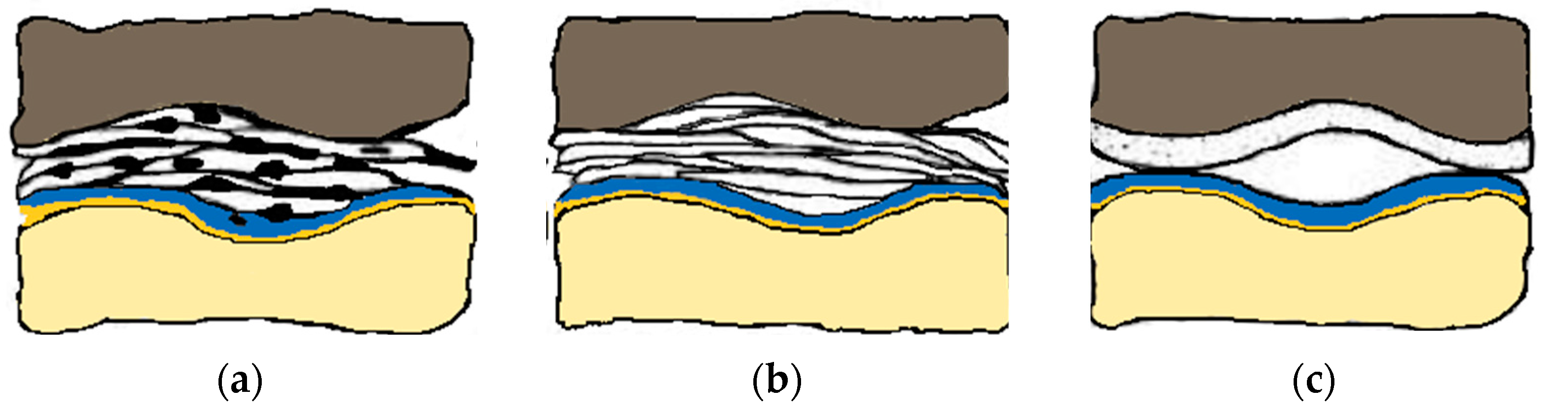 Lubricants 11 00091 g009 Lubricants 11 00091 g009