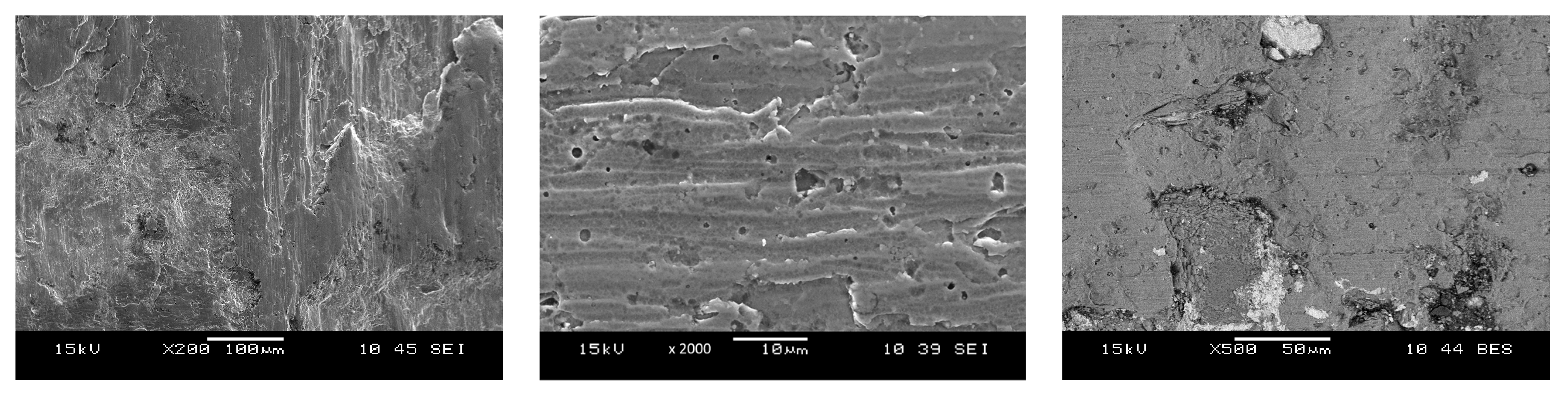 Lubricants 11 00100 g006