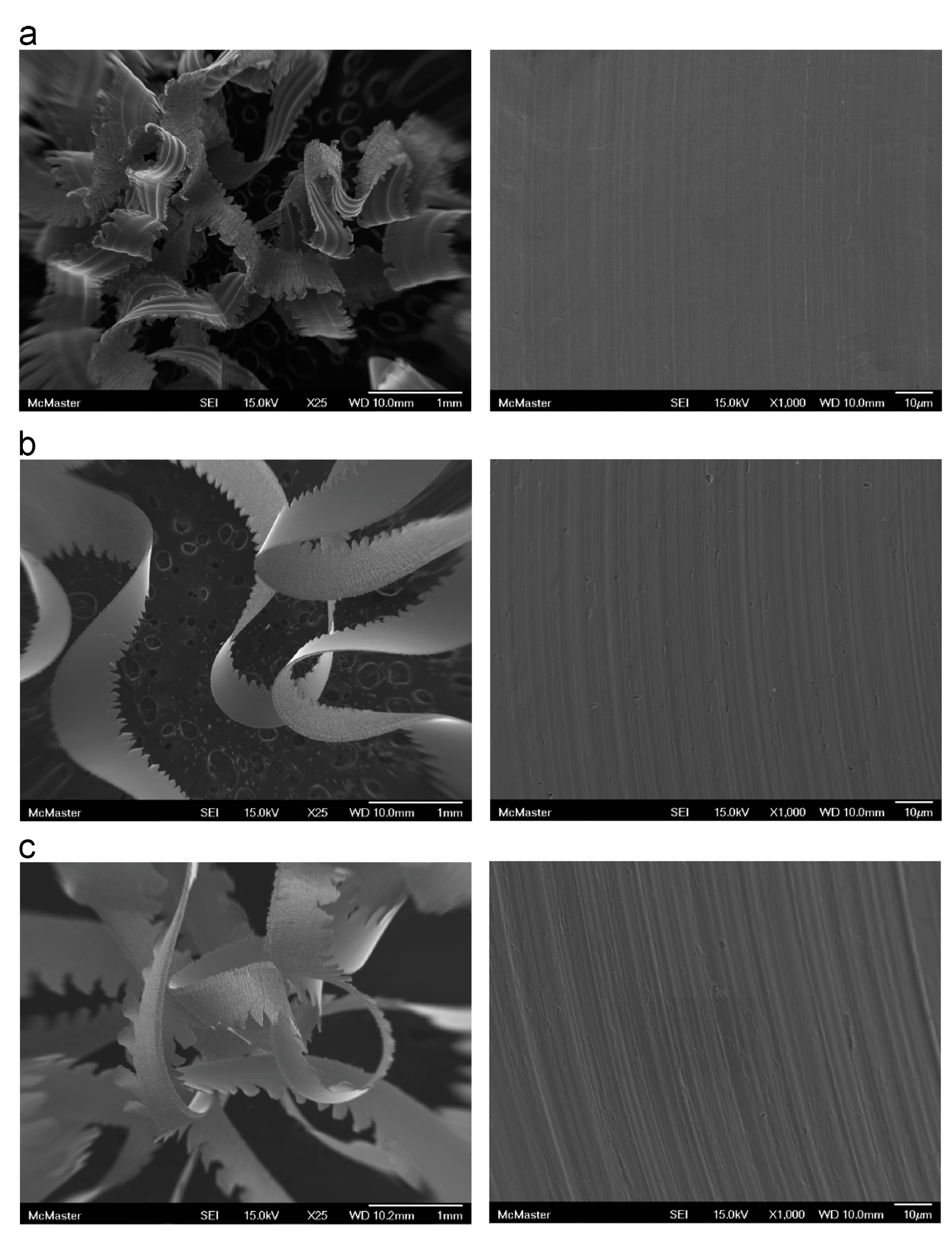Lubricants 11 00108 g005